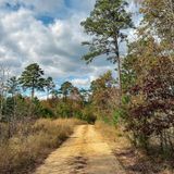 White River Bluff Loop, Arkansas - 294 Reviews, Map | AllTrails