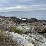 Marginal Way, Maine - 1,508 Reviews, Map | AllTrails