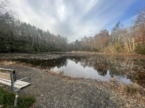 Photos of Appalachian Trail Fox Gap to Delaware Water Gap