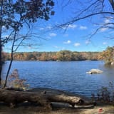 Lincoln Woods Trail, Rhode Island - 1,520 Reviews, Map | AllTrails