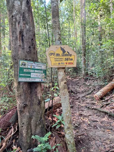 Best Hikes and Trails in Gunung Ledang National Park | AllTrails