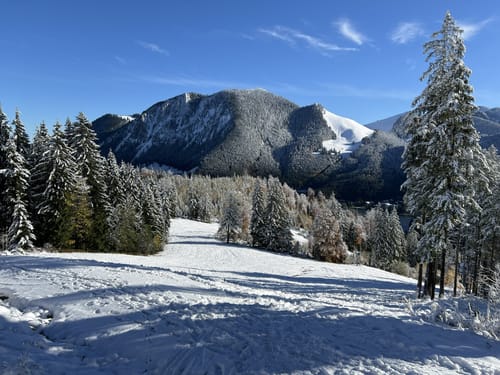 Zur Oberen Firstalm um den Spitzingsee
