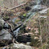 Crabtree Falls Trail, Virginia - 2,096 Reviews, Map | AllTrails