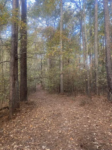 Best Wildlife Trails in Conyers | AllTrails