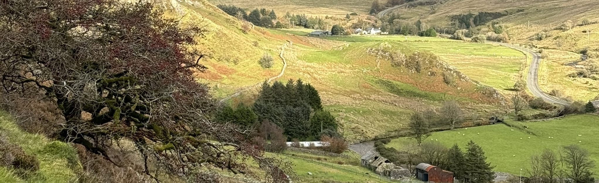 Cwm Prysor Viaduct and the Bala and Festiniog Railway: 11 foto's ...