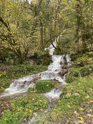 Best Historic Site Trails in MancenansLizerne AllTrails