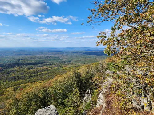 10 Best Hikes and Trails in Cheaha State Park | AllTrails