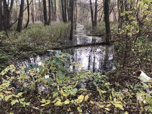Naturlehrpfad Pressel