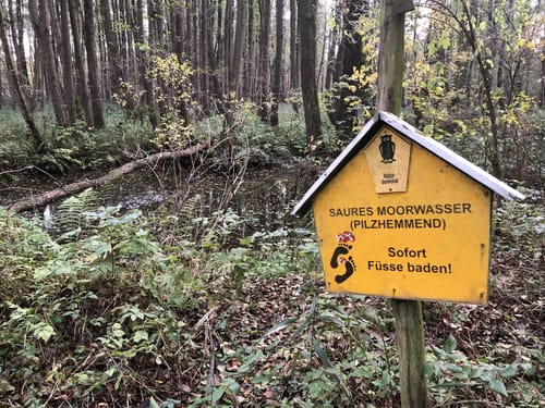 Naturlehrpfad Pressel