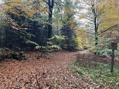 Dragon Trail (Kellinghusen)