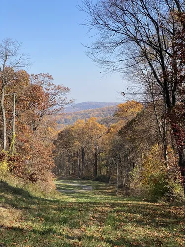 2023 Best Forest Trails in Macungie | AllTrails