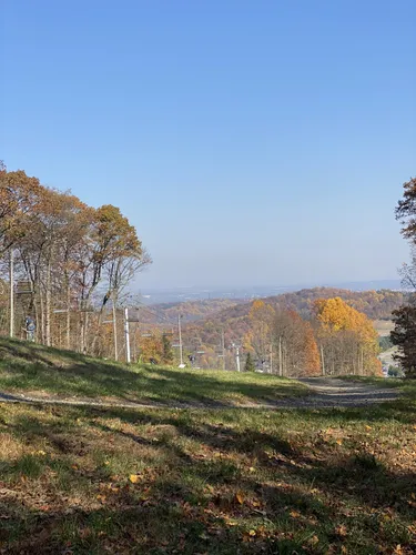 2023 Best Forest Trails in Macungie | AllTrails