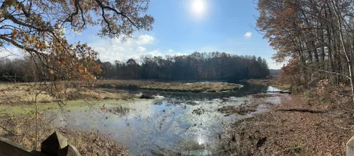 Best Hikes and Trails in The Nature Center at Hemlock Crossing | AllTrails