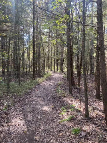 Best Hikes And Trails In Lake Bob Sandlin State Park Alltrails