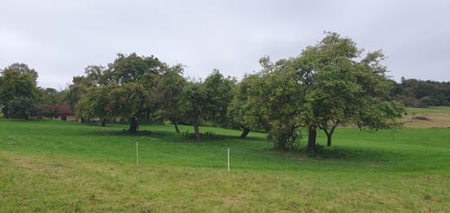 Gauklerrunde