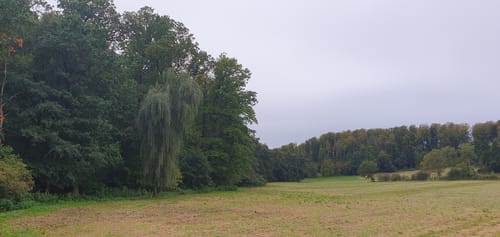 Gauklerrunde