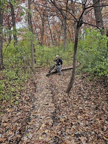 Theodore wirth mountain bike hot sale trails