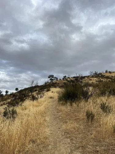 Best Hikes and Trails in Patterson | AllTrails