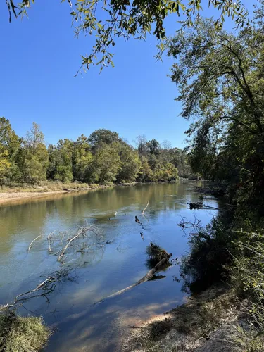 Bogue chitto state online park mountain bike trails