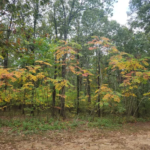 Best Hikes and Trails in Jonesboro AllTrails