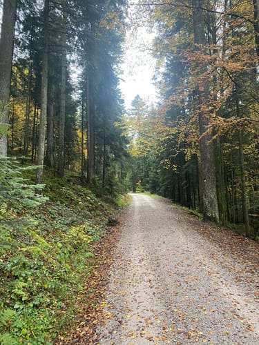 Freudenstadt - Stausee Kleine Kinzig