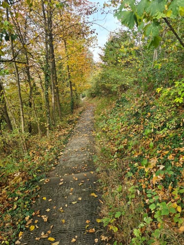 Panoramasteig im Städtedreieck (Dunkelblaue 6)