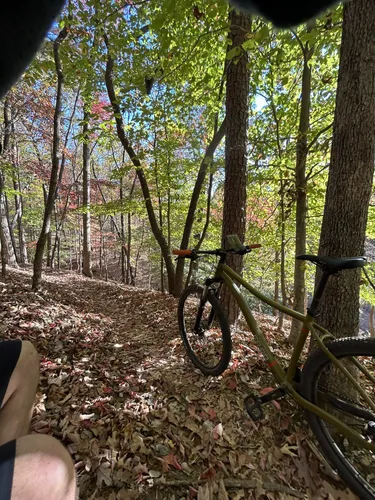 Best Mountain Biking Trails in Chicopee Woods Park AllTrails