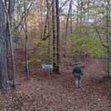 Roberts Lake Trail, Georgia - 171 Reviews, Map | AllTrails