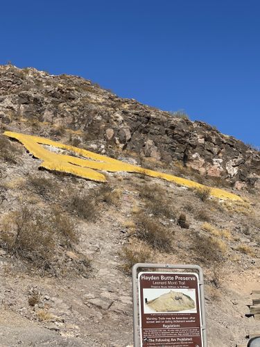 A' Mountain at Hayden Butte via Leonard Monti Trail, Arizona - 873 Reviews,  Map