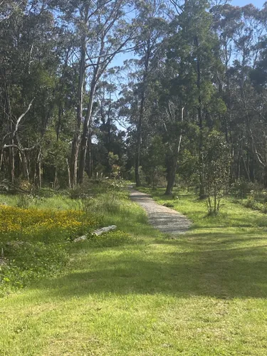 Victorian Bird Walks – Birding Victoria – Walks and Rail Trails