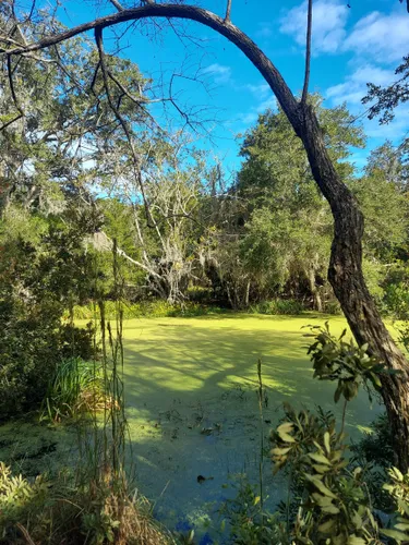 Best Hikes and Trails in Fort Clinch State Park