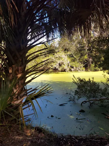 Willow Pond Nature Trail, Fort Clinch State Park