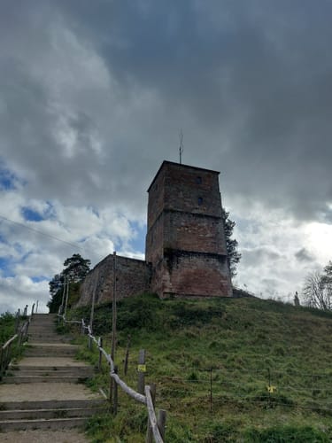 Rund um die Siersburg