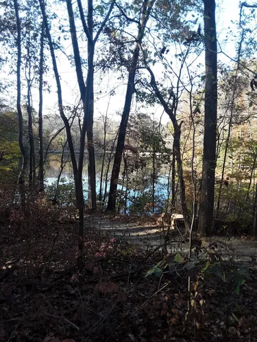 Best Hikes and Trails in Finch Park | AllTrails