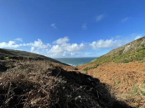 2023-best-dog-friendly-trails-in-st-ives-alltrails