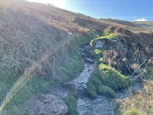 2023-best-dog-friendly-trails-in-st-ives-alltrails