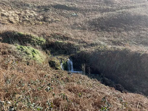 2023-best-dog-friendly-trails-in-st-ives-alltrails