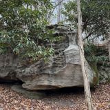 Raven Rock Trail, West Virginia - 1,534 Reviews, Map 