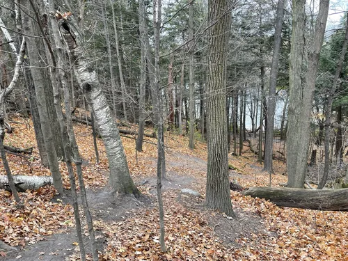 Best Hikes and Trails in Oak Ridges Corridor Conservation Reserve ...