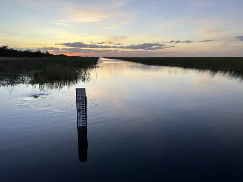 Best Hikes And Trails In Everglades And Francis S. Taylor Wildlife ...