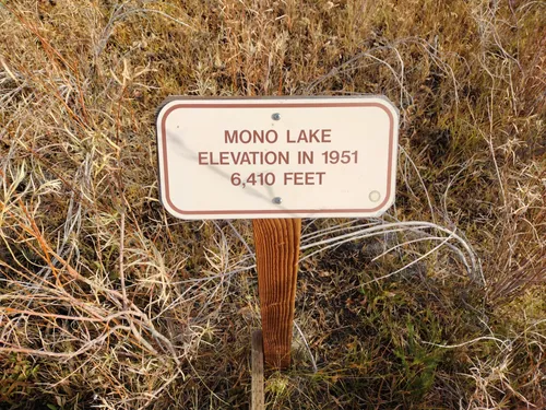 Mono Lake, Hiking, Bird Watching and Boating