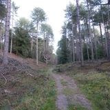 Wells-Next-The-Sea to Holkham Beach and Forest Circular, Norfolk ...