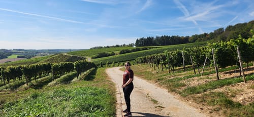 Rundwanderweg Frei-Laubersheim 20