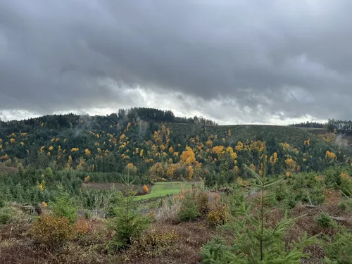 Best Dogs On Leash Trails in Silver - EyJidWNrZXQiOiJhc3NldHMuYWxsdHJhaWxzLmNvbSIsImtleSI6InVwbG9hZHMvcGhvdG8vaW1hZ2UvNjc4MDAzMzkvYTQ4YzI5YjMyN2I0YWYxMGUzNGI1ZWFlNDc2OTI4NDIuanBnIiwiZWRpdHMiOnsidG9Gb3JtYXQiOiJ3ZWJwIiwicmVzaXplIjp7IndpZHRoIjo1MDAsImhlaWdodCI6NTAwLCJmaXQiOiJpbnNpZGUifSwicm90YXRlIjpudWxsLCJqcGVnIjp7InRyZWxsaXNRdWFudGlzYXRpb24iOnRydWUsIm92ZXJzaG9vdERlcmluZ2luZyI6dHJ1ZSwib3B0aW1pc2VTY2FucyI6dHJ1ZSwicXVhbnRpc2F0aW9uVGFibGUiOjN9fX0=