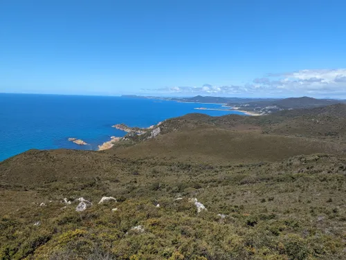 10 Best Hikes and Trails in Rocky Cape National Park | AllTrails