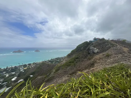 2023 Best Trail Running Trails in Kailua | AllTrails