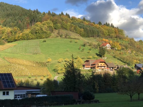 Kappelrodeck - Schnapsbrunnentour