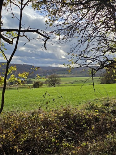 Braunfels - Uhupfad (Walderlebnispfad)