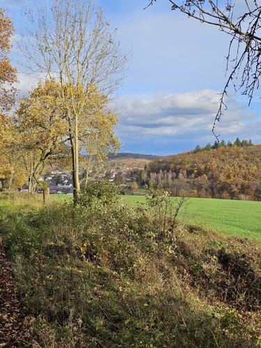 Braunfels - Uhupfad (Walderlebnispfad)
