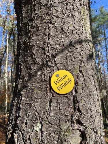 Best Hikes and Trails in Wilton Wildlife Preserve | AllTrails